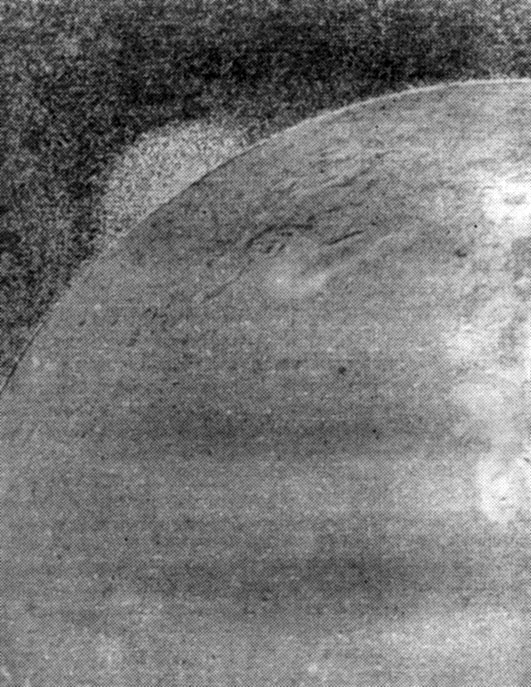 Рис. 13. Сенсационный снимок 'Вояджера-1': извержение вулкана в космосе. Над краем диска Ио хорошо заметен столб вулканического пламени, пыли и газов, вырывающихся на высоту более двухсот километров над поверхностью спутника