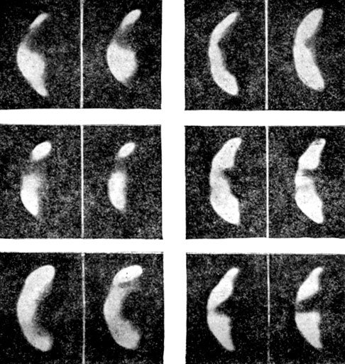 Рис. 116. Венера в ультрафиолетовом свете. Каждая пара изображений была получена в одну и ту же ночь, две верхние пары в две последовательные ночи и две средние пары также в две последовательные ночи. Обратите внимание на изменения от ночи к ночи