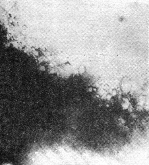 Рис. 14. Область южной полярной шапки (широта 59°). Снимок 'Маринера-7'